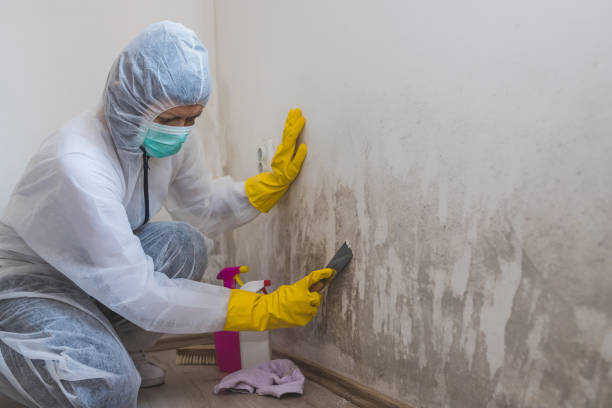 Best Mold Testing  in Jacksonville, OR