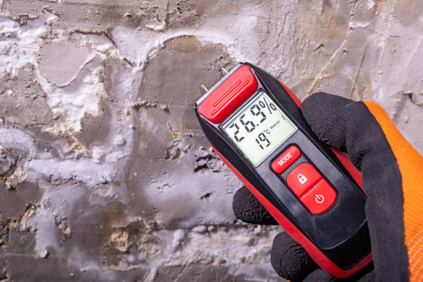 Best Same-Day Mold Removal  in Jacksonville, OR