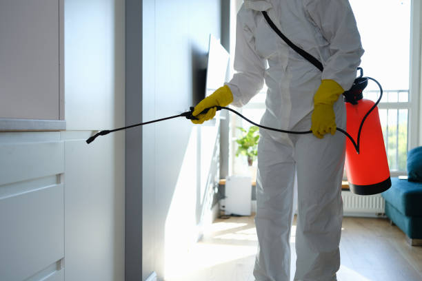 Best Emergency Mold Removal  in Jacksonville, OR